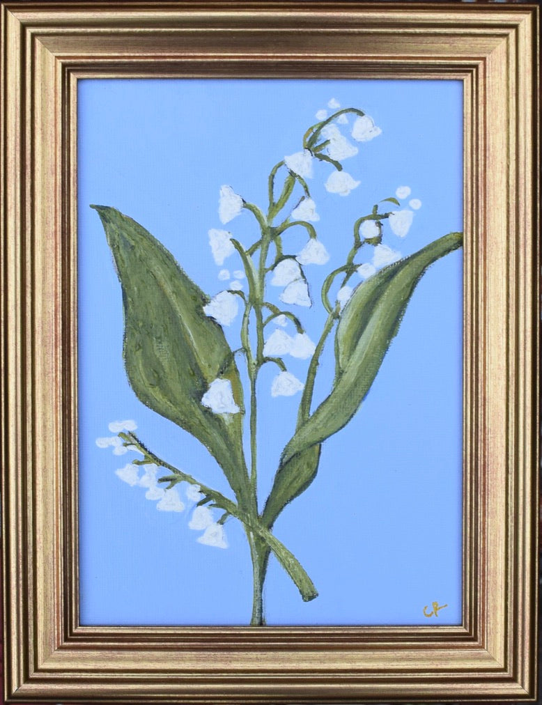 Lily of the Nile