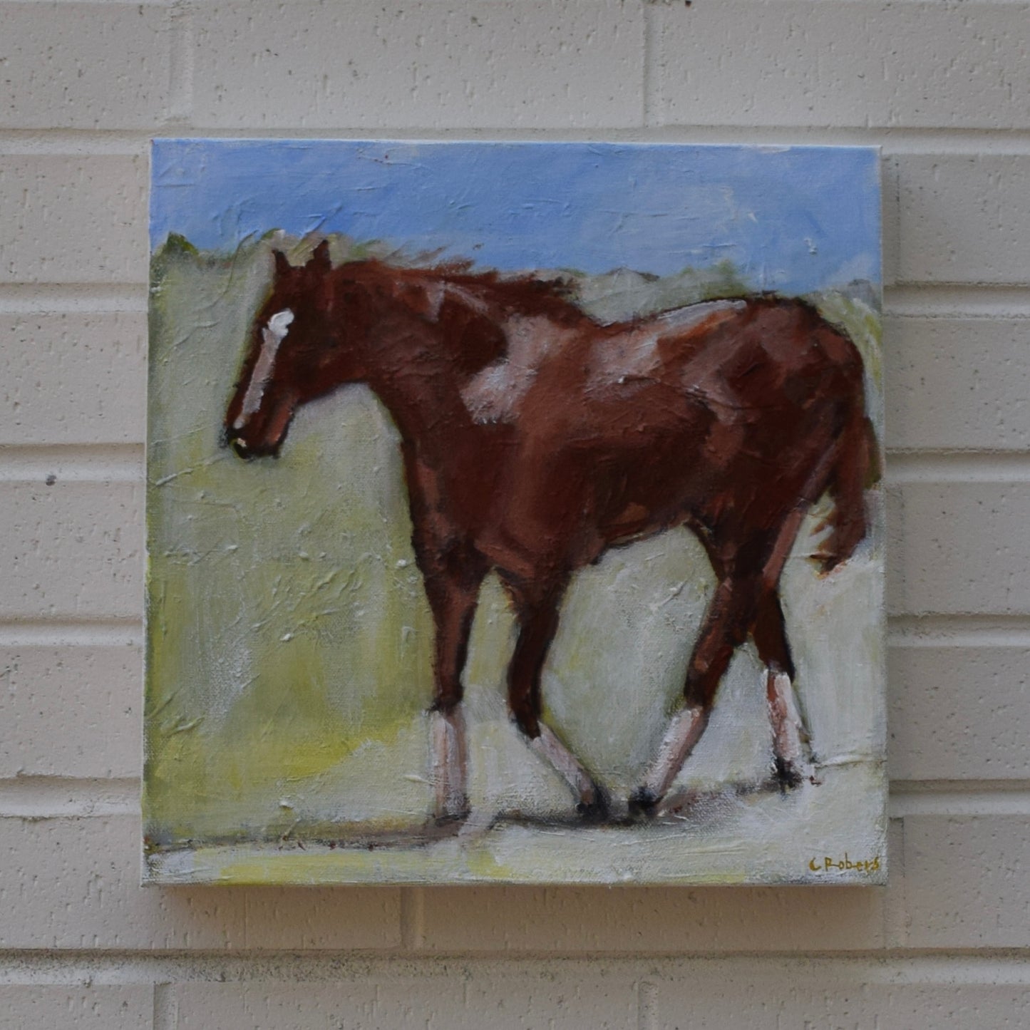 Chestnut Horse Study