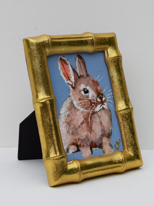 Mini Bunny