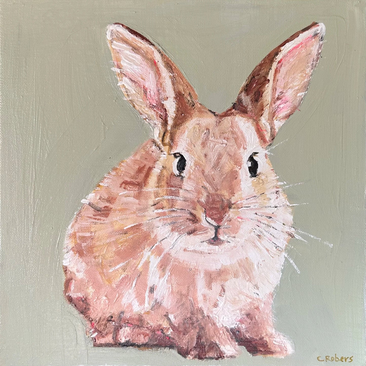 SQUARE MARMALADE BUNNY