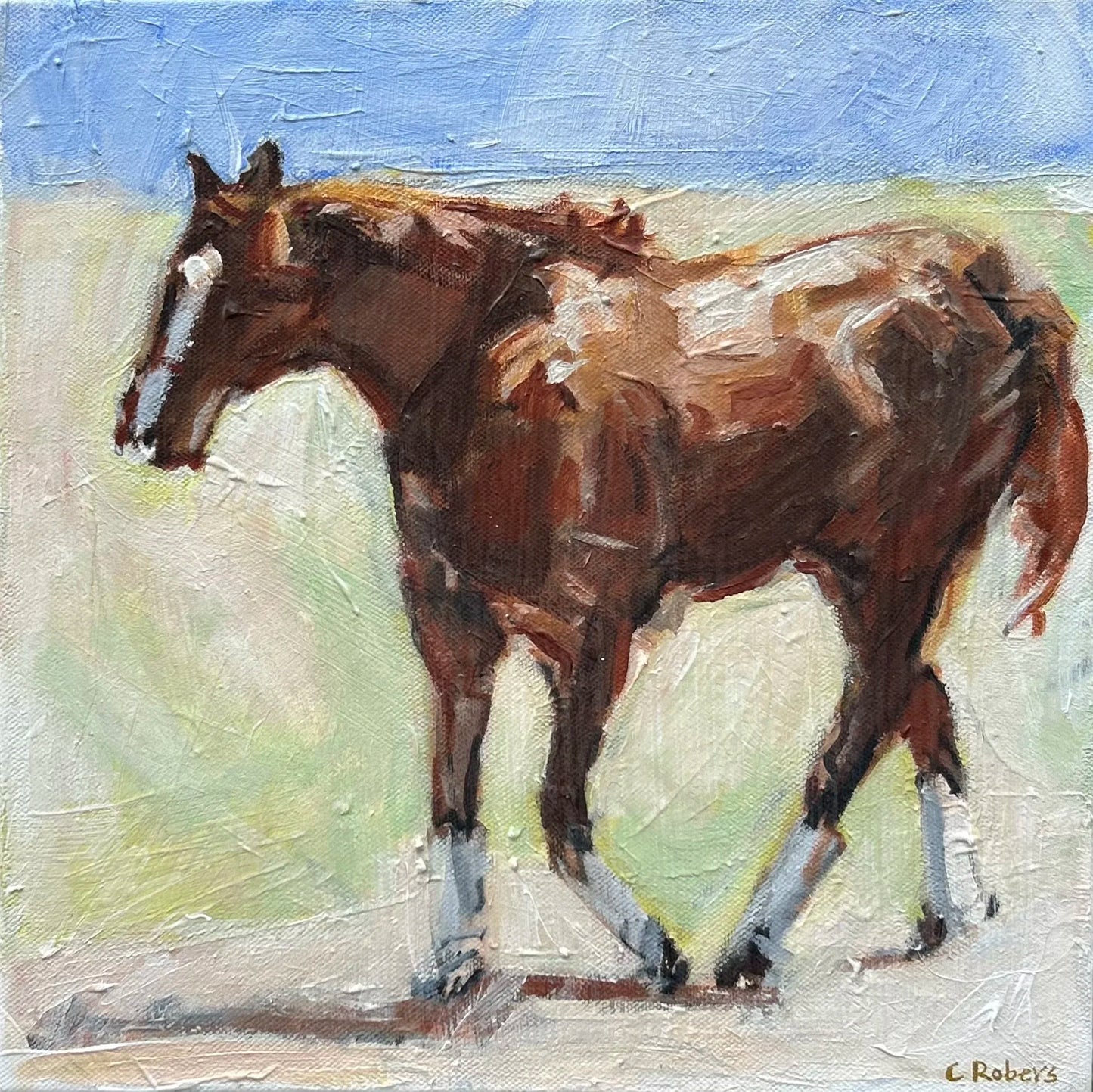 Early Morning Horse Study