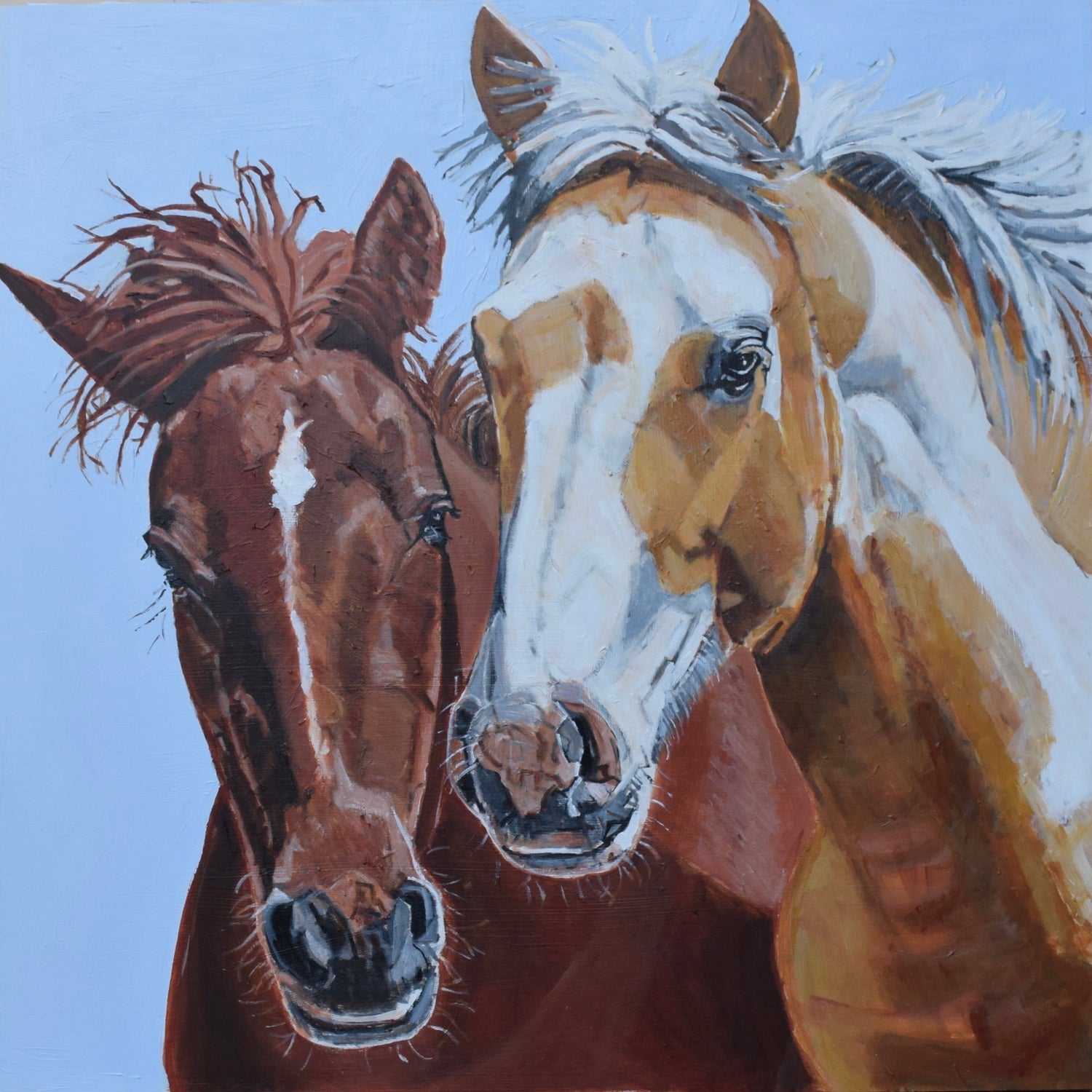 Horses