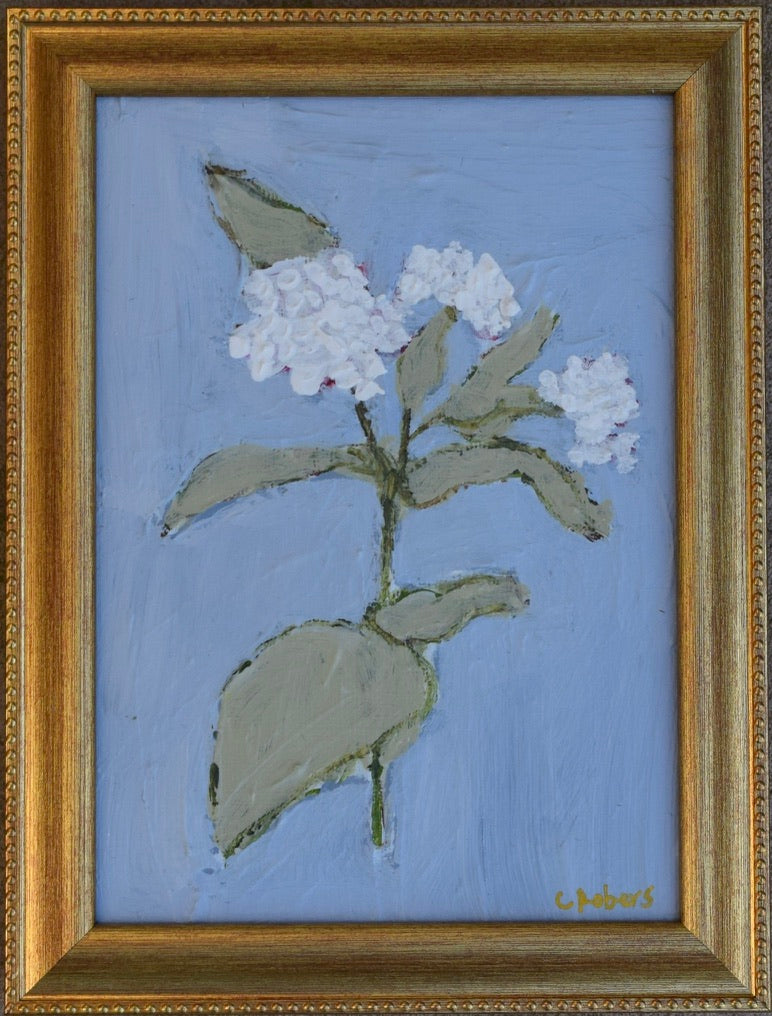 White Hydrangea