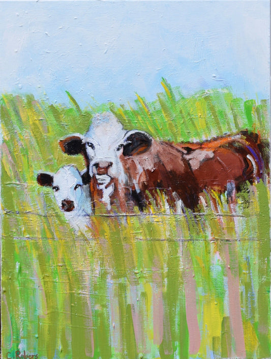 Inquisitive Cow and Calf