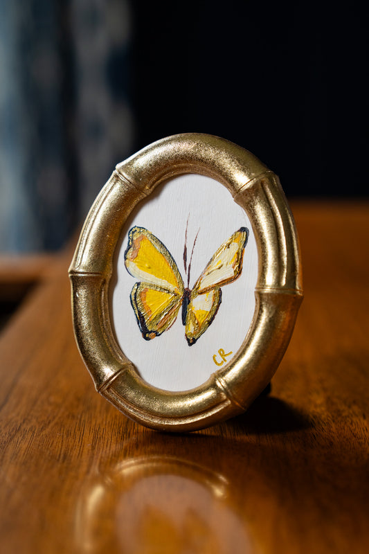 Yellow Butterfly in Gold Oval or Rectangle Frame