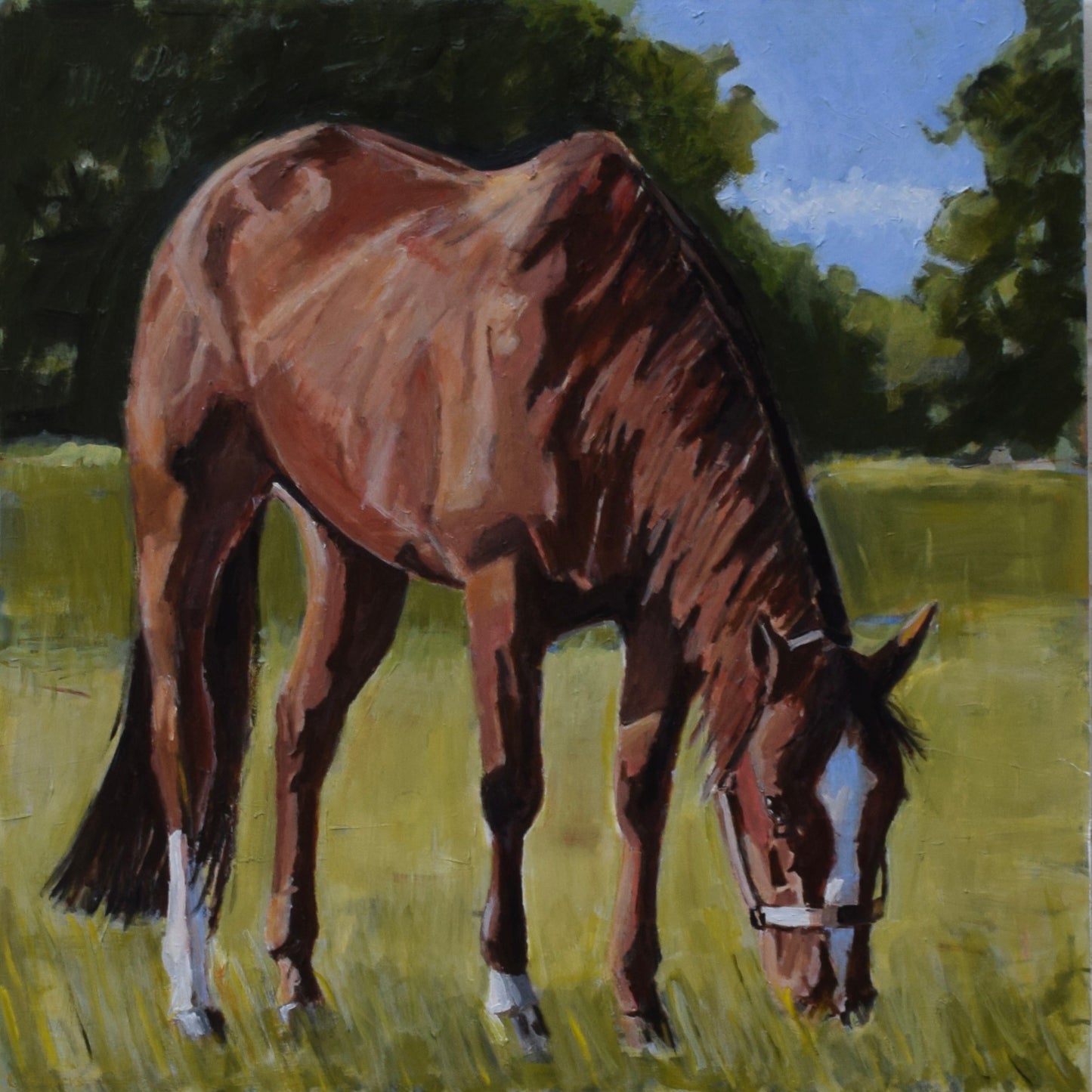 Grazing Chestnut