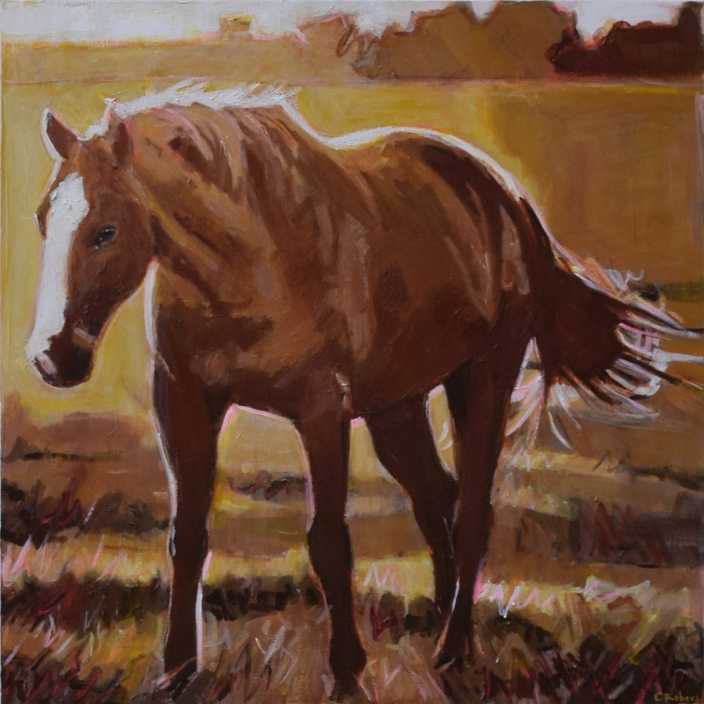 Walking In the Light