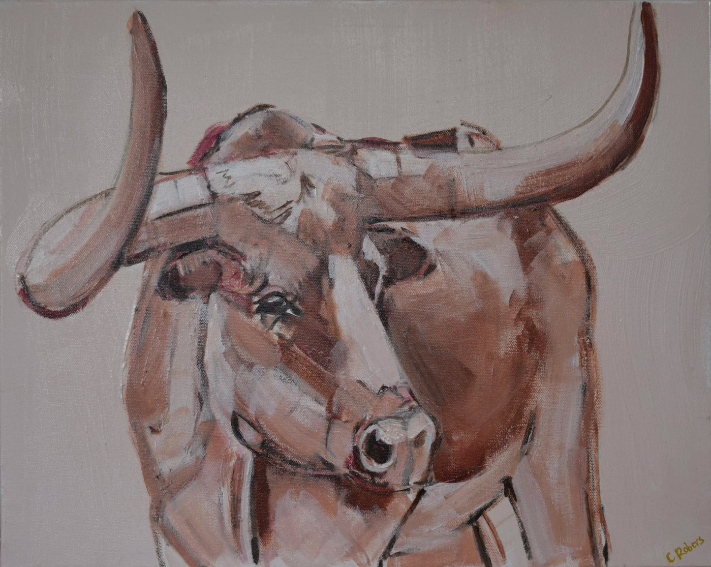 Summer Longhorn Study