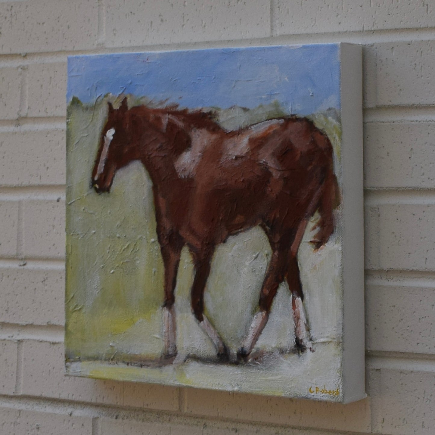 Chestnut Horse Study