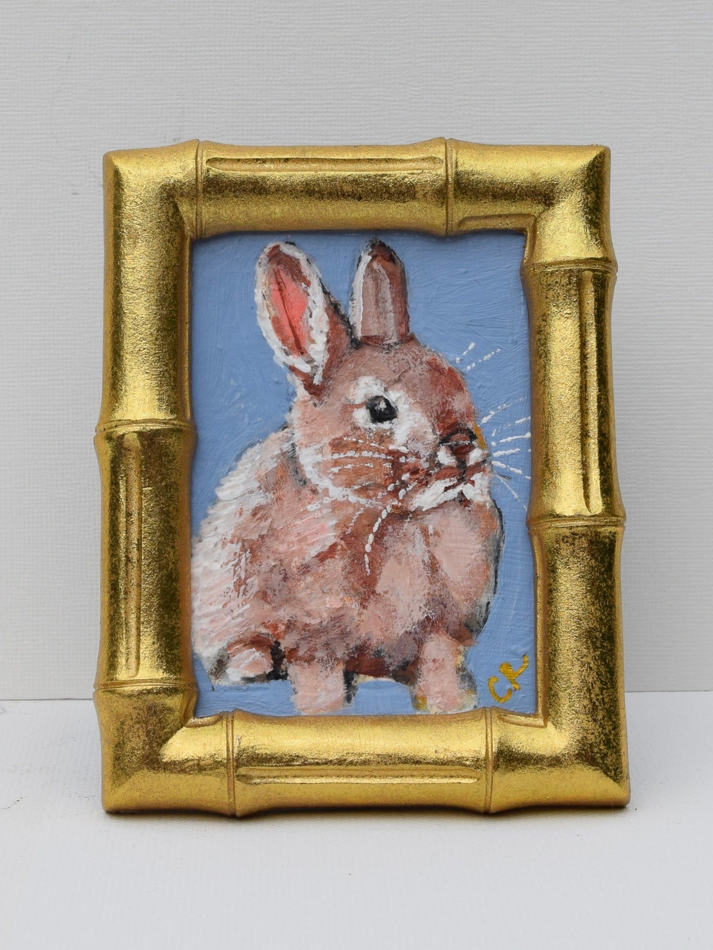 Mini Bunny