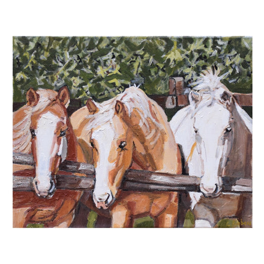 Three Mustangs